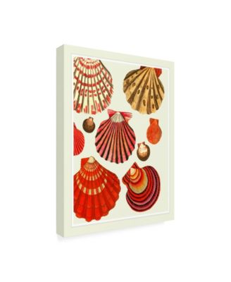 Trademark Global Fab Funky Red and Cream Clam Shells Canvas Art - 27" x 33.5"