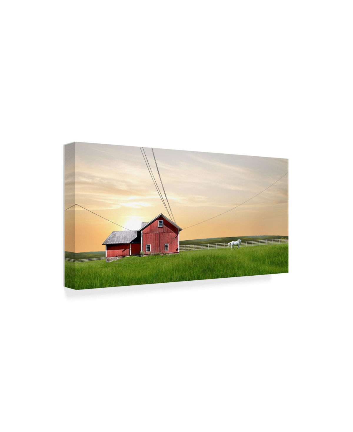 James Mcloughlin Farm and Country Iv Canvas Art -