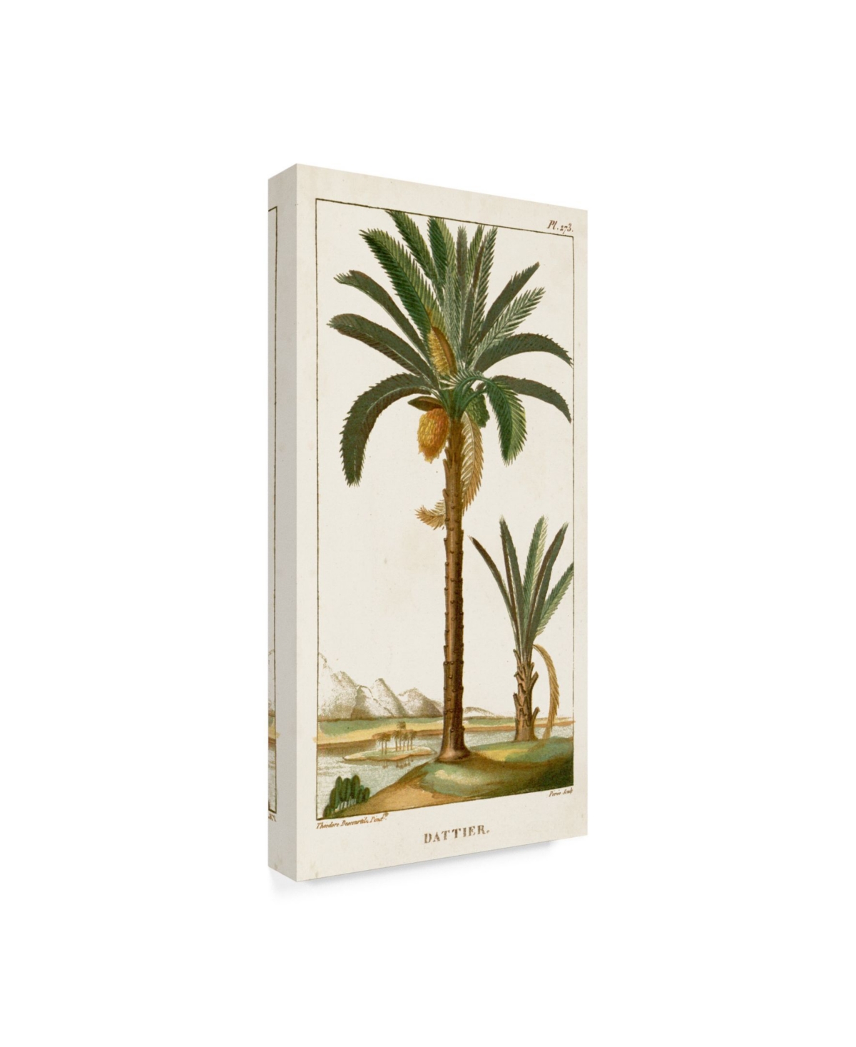 Turpin Turpin Exotic Palms Iv Canvas Art - 20" x 25"