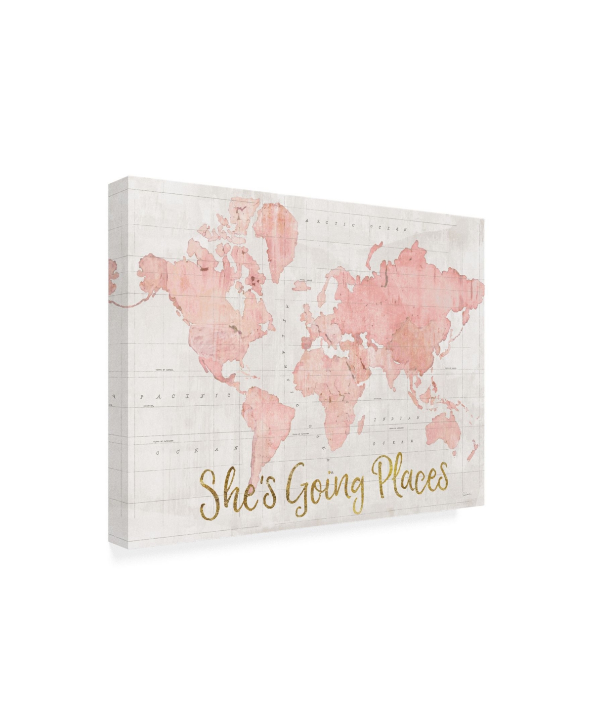 Sue Schlabach Across the World She's Going Places Pink Canvas Art -