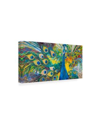 Elizabeth St. Hilaire Percy Peacock I Canvas Art - 37" x 49"
