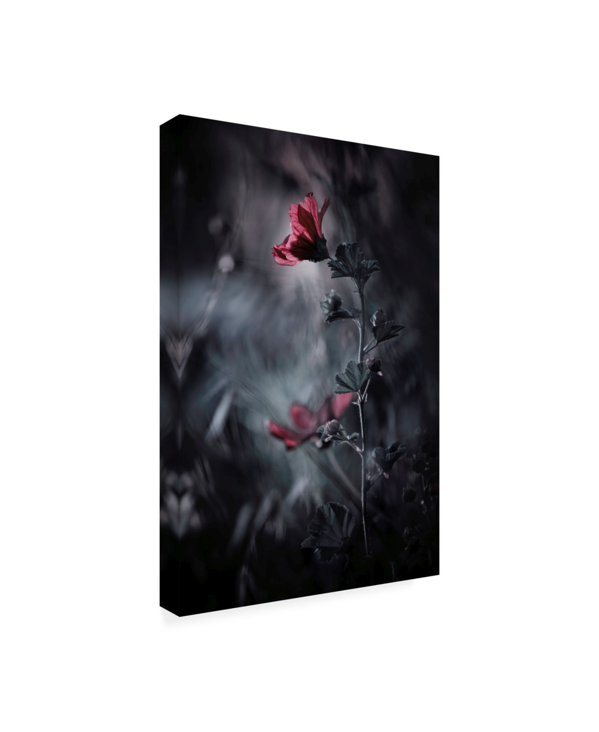 Fabien Bravin Passion Reds Canvas Art -