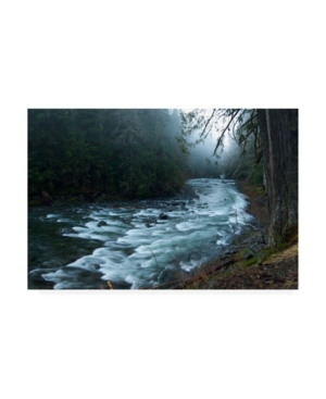 Trademark Global Photoinc Studio River In The Forest Canvas Art In Multi