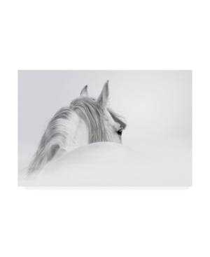 Trademark Global Photoinc Studio White Horse On White Canvas Art In Multi