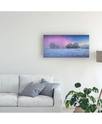 Trademark Global Sergei Shabunevich Trees Covered in Snow Canvas Art - 20" x 25"