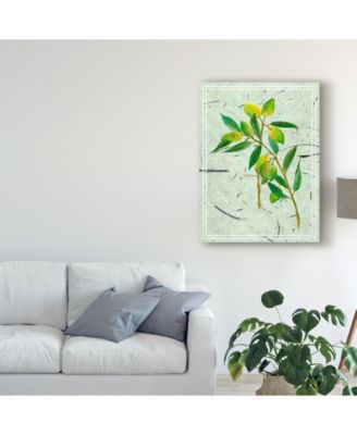 Trademark Global Melissa Wang Olives on Textured Paper I Canvas Art - 15" x 20"