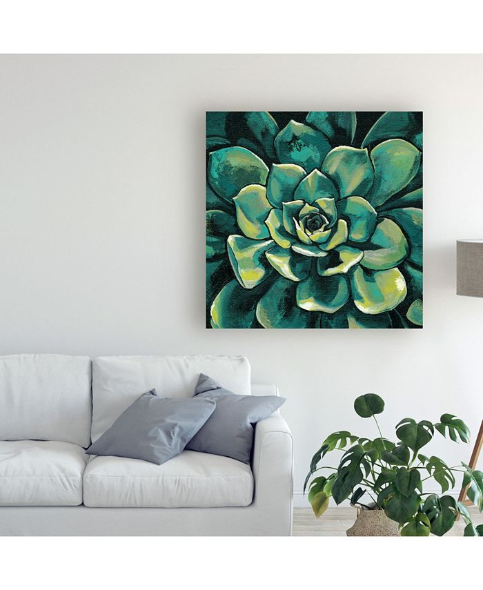 Trademark Global Megan Meagher Succulent Bloom I Canvas Art - 27