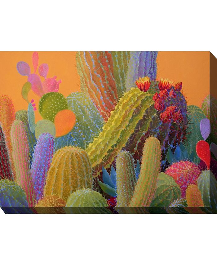 West of the Wind Outdoor Canvas Wall Art, Desert Wealth, 40" x 30" Macy's