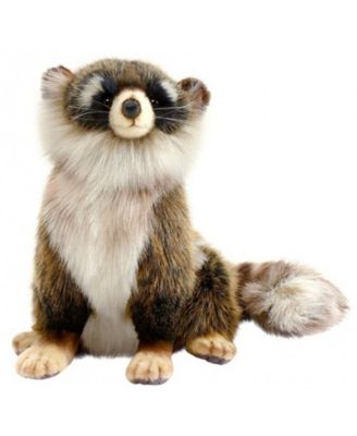 racoon plush