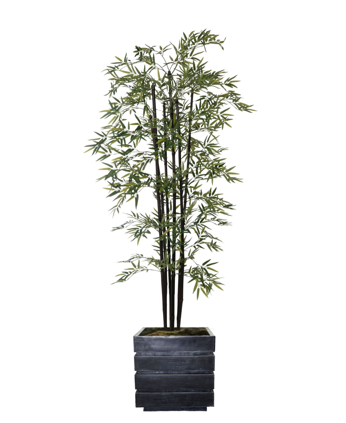 78" Tall Bamboo Tree With Decorative Black Poles and Fiberstone Planter - Green