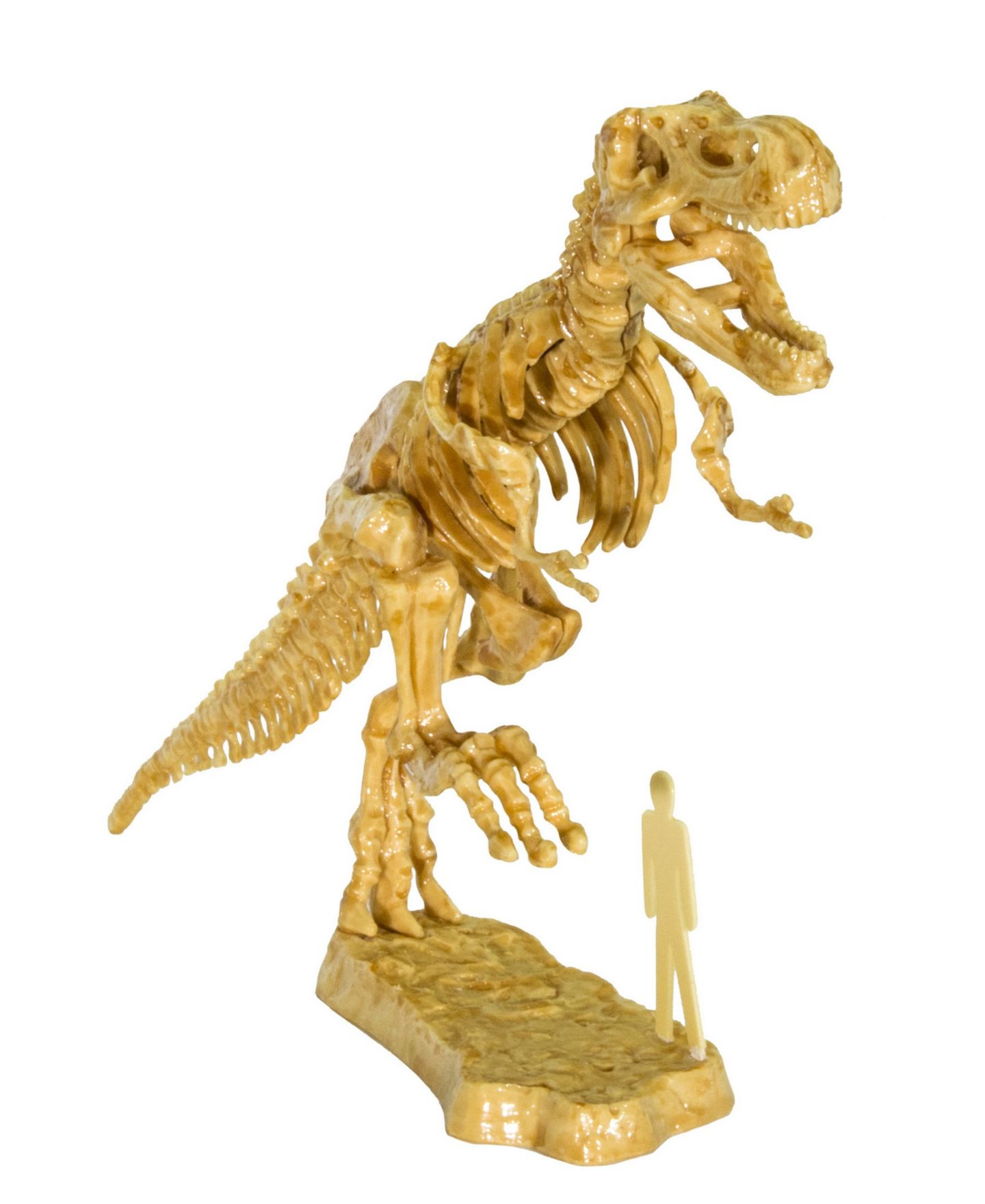 Детские игрушки Thames & Kosmos I Dig It! Dinos - 3D T. Rex Excavation Kit — фото 1