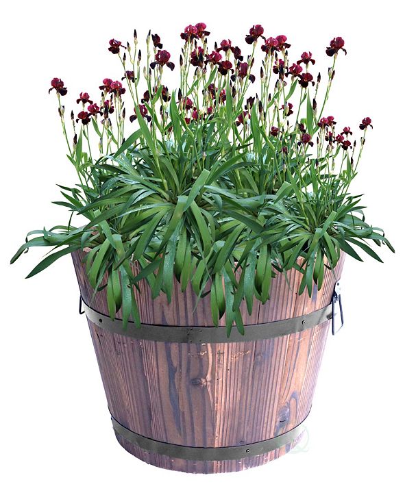 Gardenised Extra Large Wooden Whiskey Barrel Planter