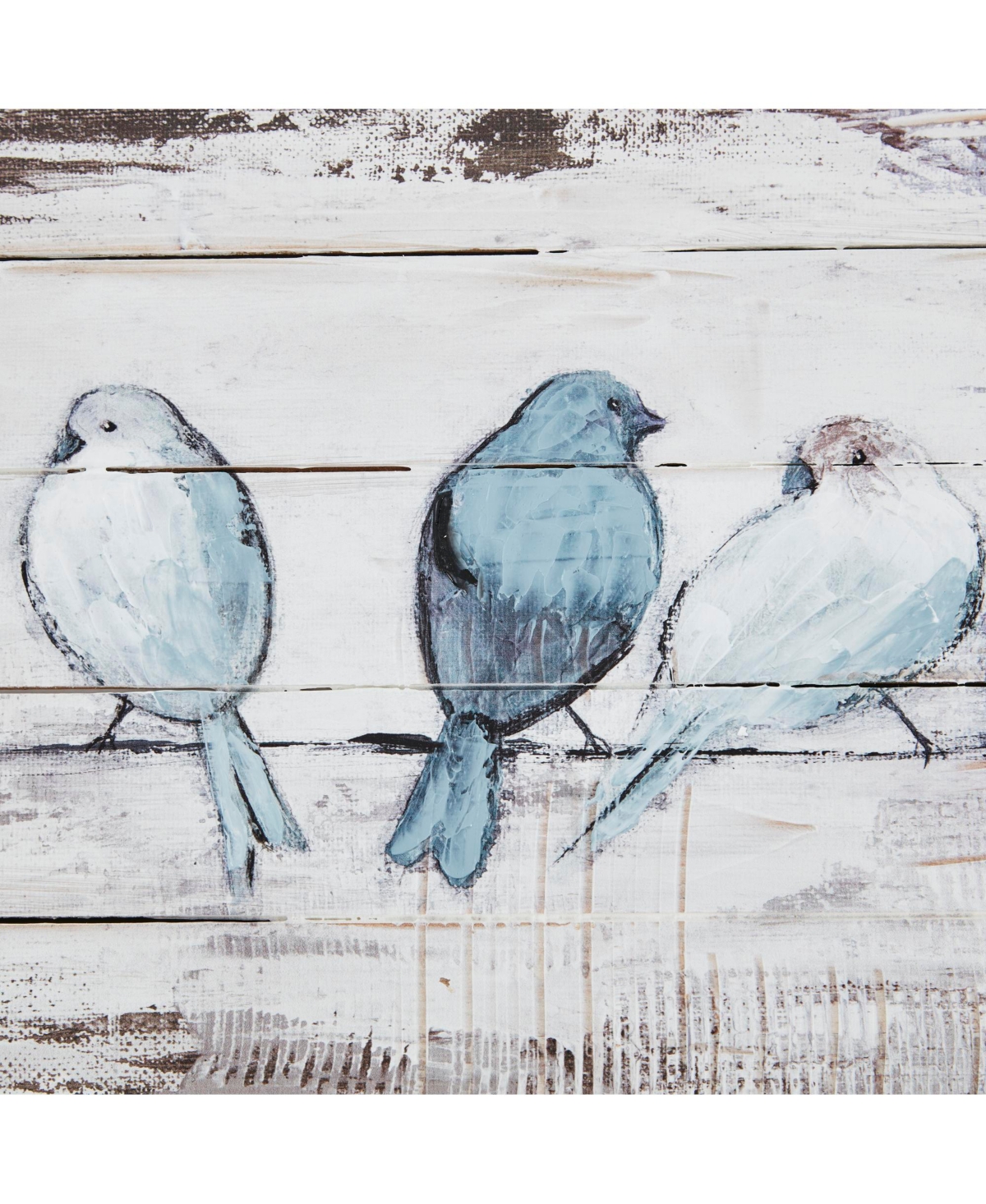 Madison Park Perched Birds Hand Painted Wood Plank In White,grey