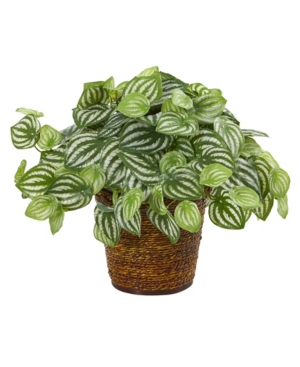 Nearly Natural 13" Watermelon Peperomia Artificial Plant In Basket Real Touch In Green