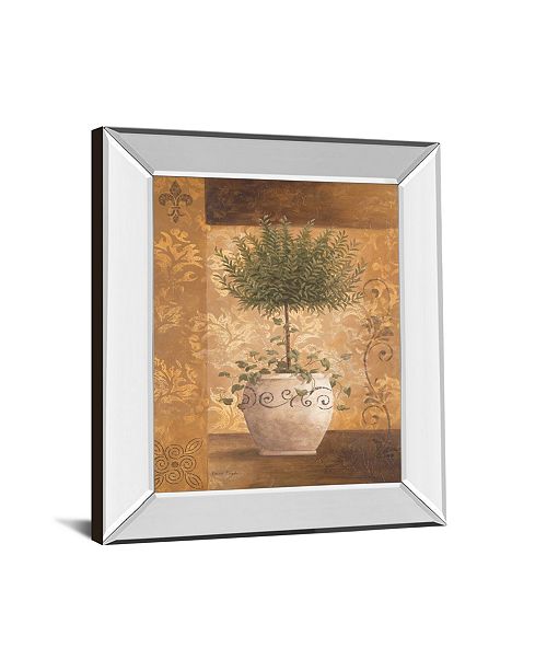 Classy Art Topiary Il By Vivian Flasch Mirror Framed Print Wall