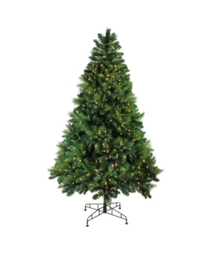 Northlight 75' Pre-Lit Sequoia Mixed Pine Artificial Christmas Tree - Warm White Led Lights