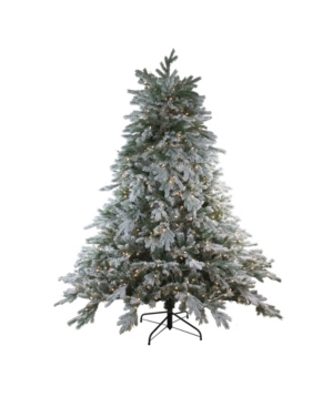 Northlight 65' Pre-Lit Frosted Butte Fir Artificial Christmas Tree - Clear Lights