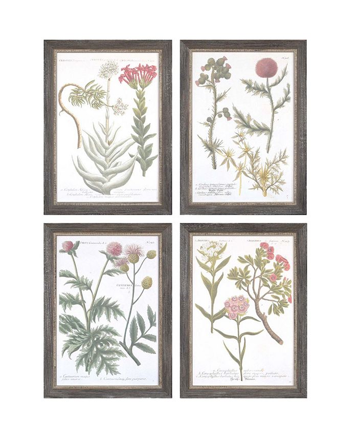 Paragon Picture Gallery Paragon Botanical Varieties Framed Wall Art Set