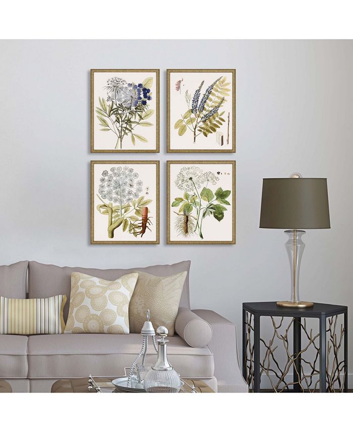 Paragon Picture Gallery Paragon Lacy Leaves Framed Wall Art Set of 4