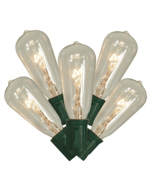 Northlight 10 Transparent Clear Edison Style Glass Christmas Lights - 9 Ft Green Wire In Multi