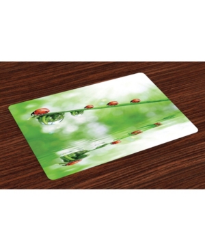 Ambesonne Ladybugs Place Mats Set of 4