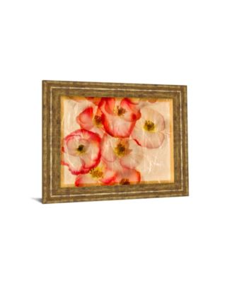 Papaver Dreams III by Harold Davis Framed Print Wall Art, 22" x 26"