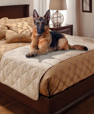twin bed for dog
