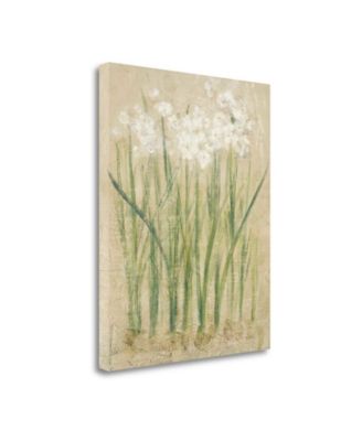 Tangletown Fine Art