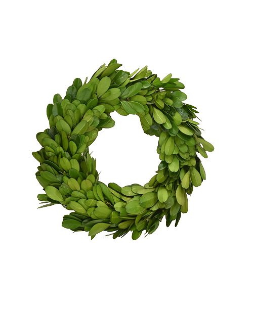 Mills Floral 6 D Preserved Boxwood Wreath Set Of 3 Reviews