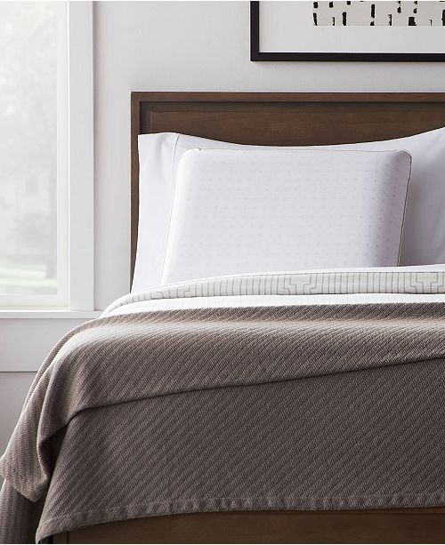 Dream Collection Coconut Aromatherapy Memory Foam Pillow Standard