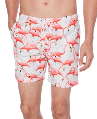 penguin mens swim trunks