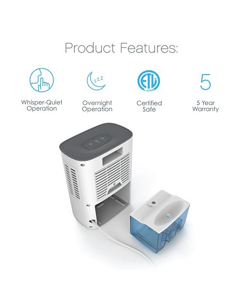 Pure Enrichment PureDry Deluxe Dehumidifier & Reviews Wellness Bed