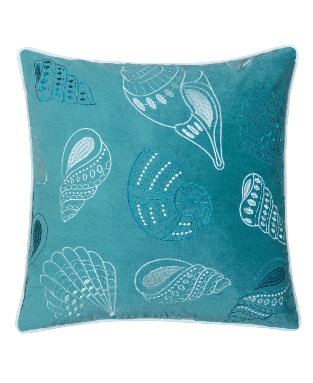 Seashell 20