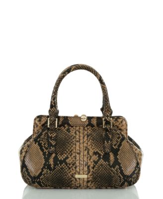 Brahmin