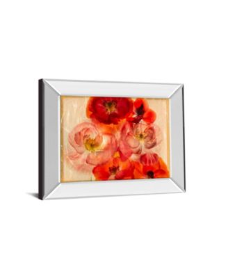 Classy Art Papaver Dreams by Harold Davis Mirror Framed Print Wall Art Collection