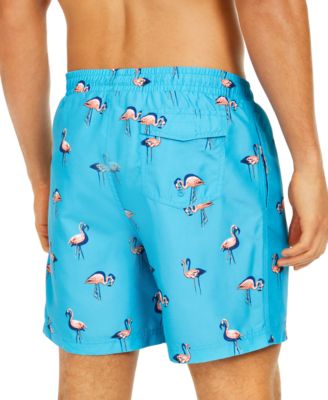 flamingo bathing suit mens