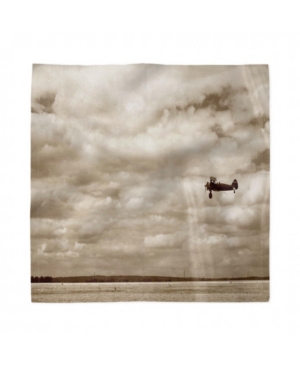 Ambesonne Vintage-Like Airplane Set of 4 Napkins 18