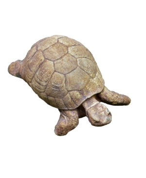 Shop Campania International Turtle Garden Statue In Heather Gray