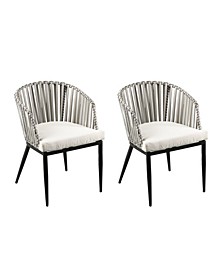Anisa Outdoor Chairs with Cushions 2 Piece Set