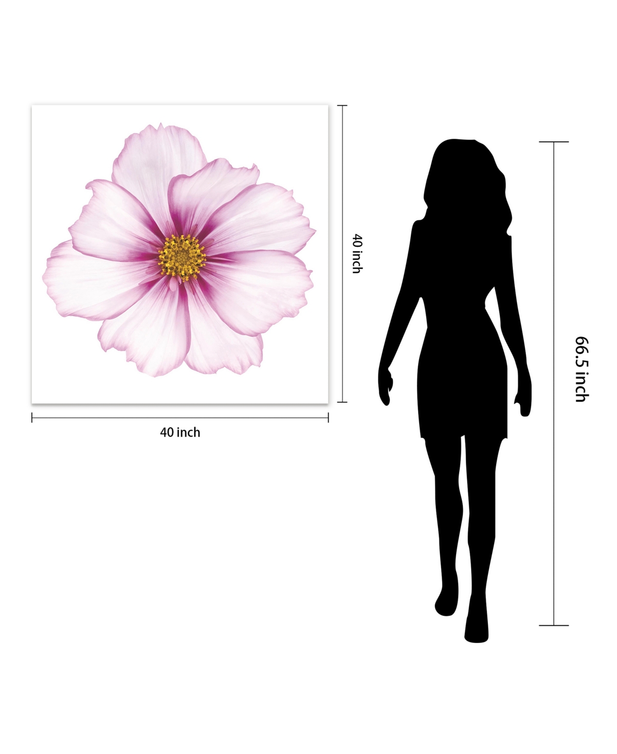 Empire Art Direct Magenta Cosmo on White Frameless Free Floating Tempered Glass Panel Graphic Wall Art, 0.2