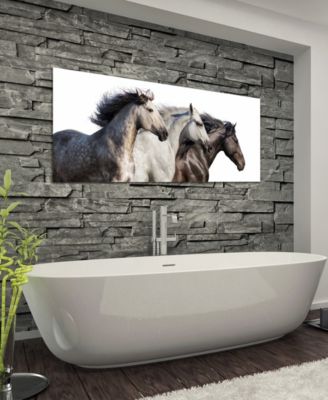 Trilogy 1 Frameless Free Floating Tempered Glass Panel Graphic Wall Art, 24" x 63" x 0.2"