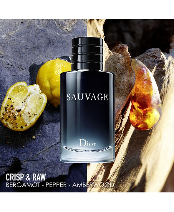 Dior Men's Sauvage Deodorant Spray, 5 oz & Reviews Shop All Brands