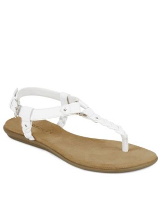 macys steve madden greece sandals