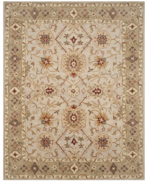 Safavieh Antiquity At816 Gray And Beige 7'6" X 9'6" Area Rug