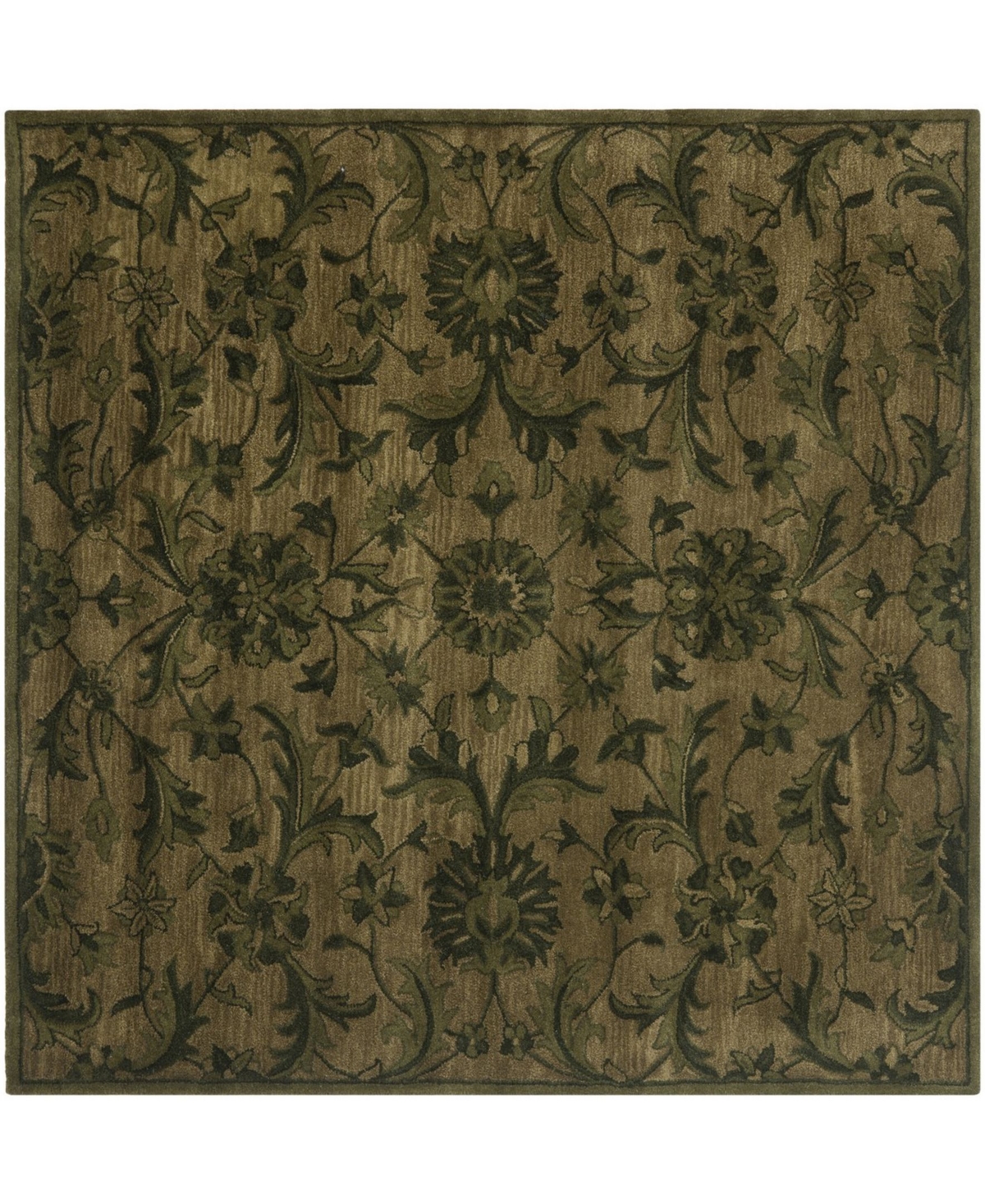 Safavieh Antiquity At824 Olive 6' x 6' Square Area Rug - Olive
