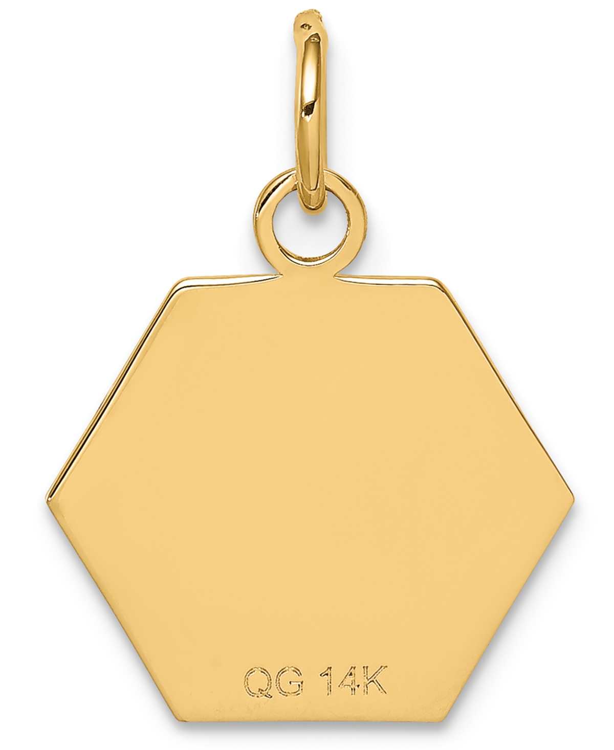 Medical Info Hexagon Charm Pendant in 14k Gold