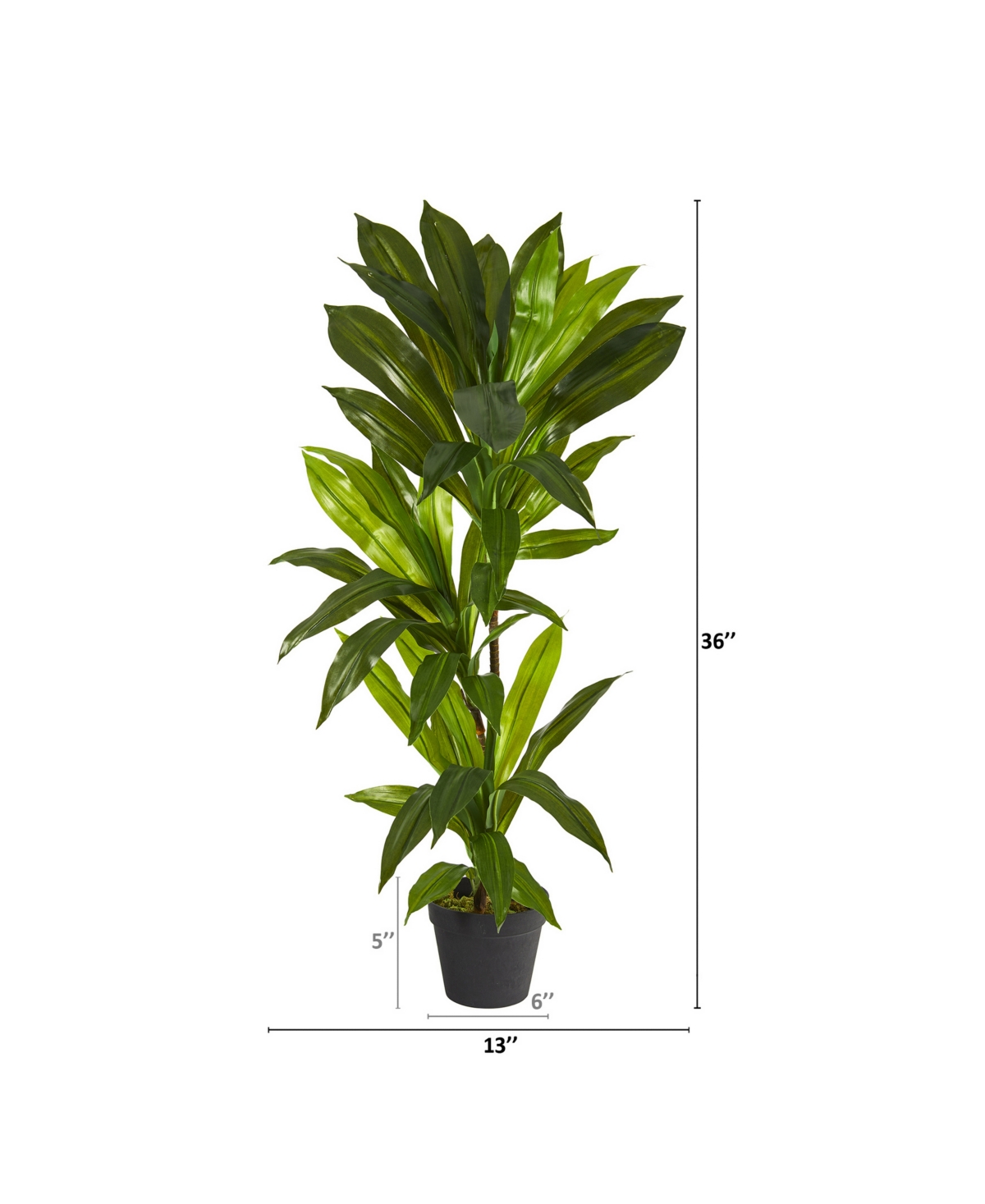 NEARLY NATURAL DRACAENA ARTIFICIAL PLANT, REAL TOUCH 