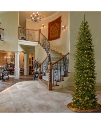 National Tree Company National Tree 10' North Valley Spruce Pencil Slim Tree with Clear Lights