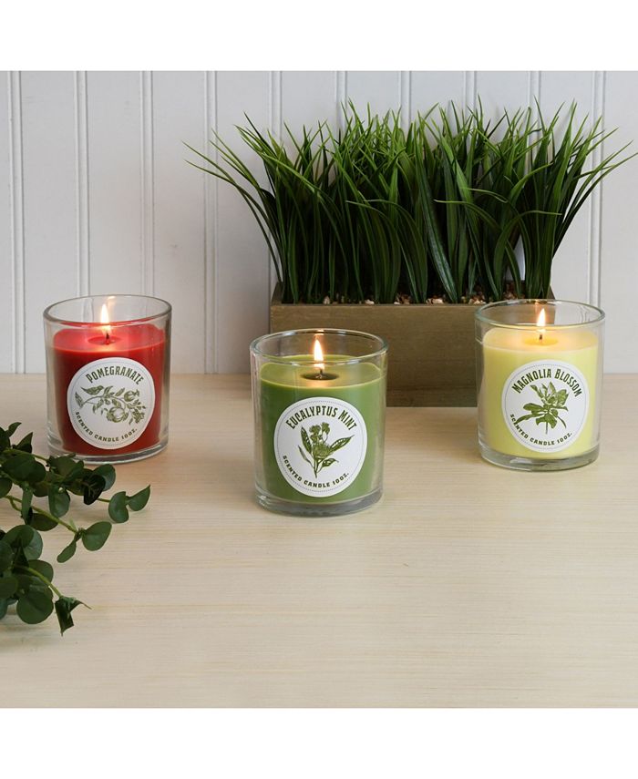 JH Specialties Inc/Lumabase LumaBase Scented Candles Botanical