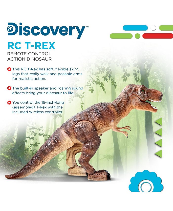 dinosaur discovery track